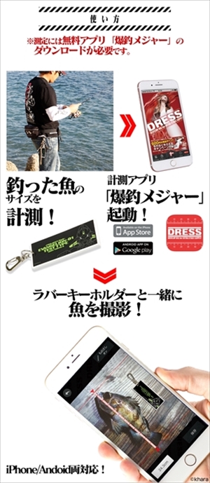 EVA×DRESSコラボグッズ