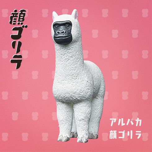 顔ゴリラ　パンダの穴