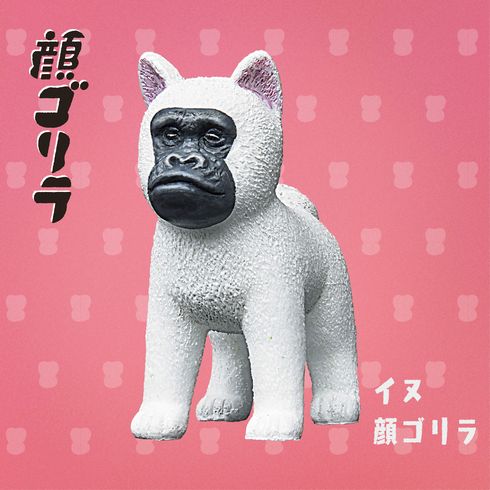 顔ゴリラ　パンダの穴