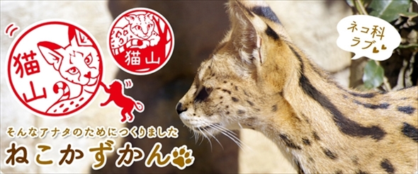 ねこかずかん