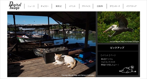 プロフェッショナル仕事の流儀・岩合光昭さん