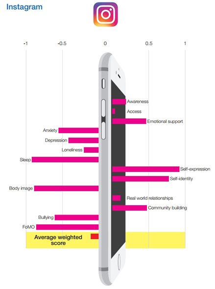 SNSの有害性調査