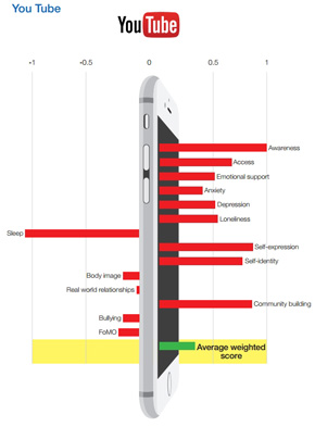SNSの有害性調査