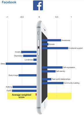 SNSの有害性調査