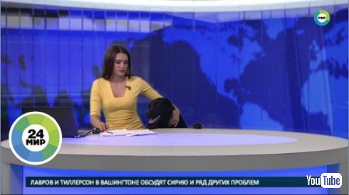 ニュース番組 犬 乱入 ロシア テレビ