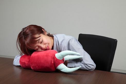 ひとやすみ腕枕(アームピロー)クッション ズゴック