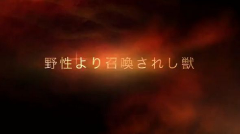 里親募集 動画 壮大 猫