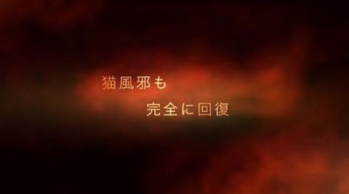 里親募集 動画 壮大 猫