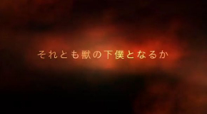 里親募集 動画 壮大 猫
