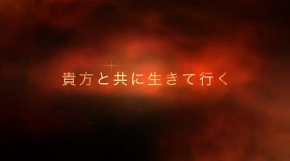 里親募集 動画 壮大 猫