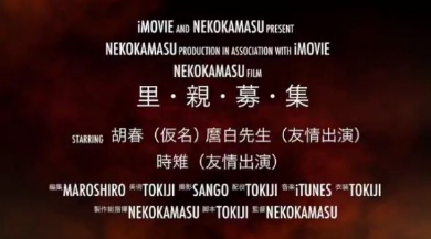 里親募集 動画 壮大 猫