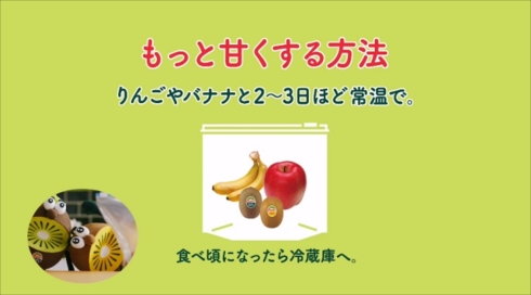 ゼスプリ平野レミキウイブラザーズ