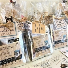 猫のいる本屋キャッツ・ミャウ・ブックス