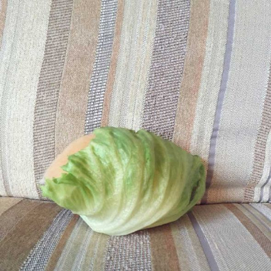 レタス ハムスター 食べられてる