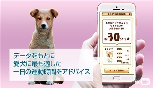 タカラトミーが犬用ウェアラブルデバイスを発表　1万頭以上のデータを駆使、ついでに飼い主のカロリー計算も