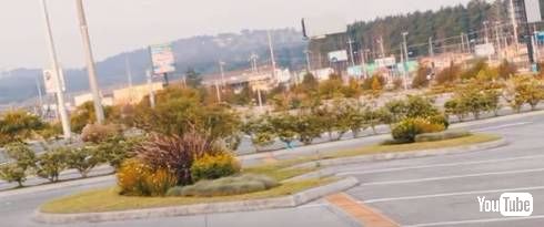 ニンテンドーSwitch