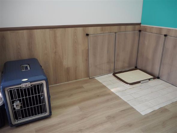 犬の保育園
