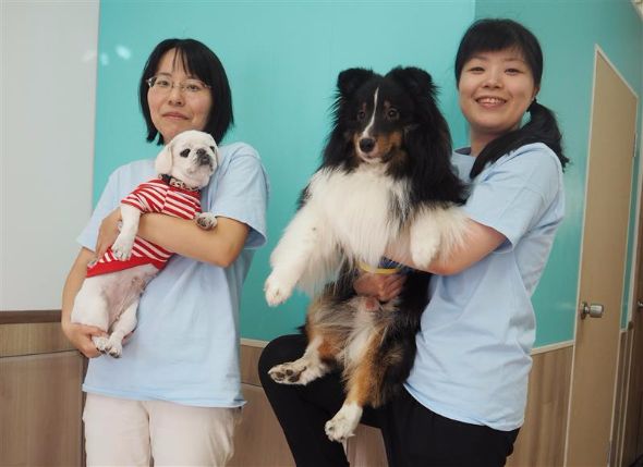 犬の保育園