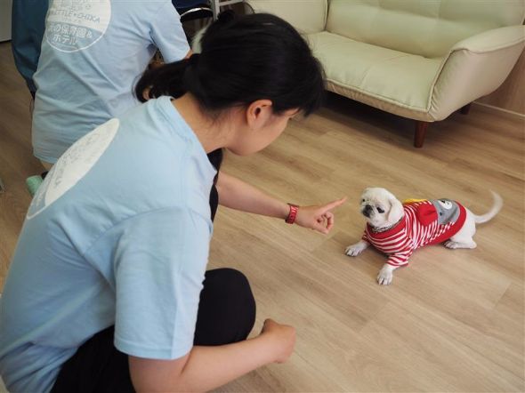 犬の保育園