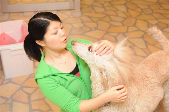 犬の保育園