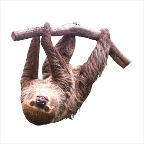 ぶっ飛んでる生き物