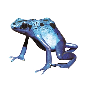 ぶっ飛んでる生き物