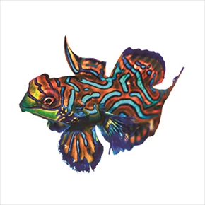 ぶっ飛んでる生き物