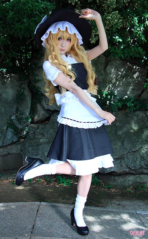 カモミール　東方