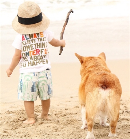 コギとボクのLA Life　ドッグビーチ