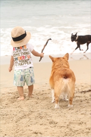 コギとボクのLA Life　ドッグビーチ