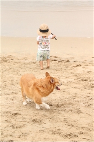 コギとボクのLA Life　ドッグビーチ