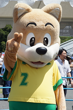 レッドブル・エアレース