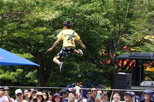 レッドブル・エアレース