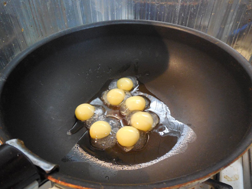 クサガメ、今年も産卵