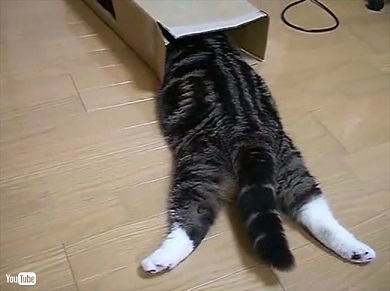 まるLINEスタンプ