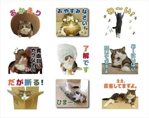 まるLINEスタンプ