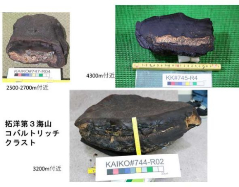 本州近海 レアメタル 発見 コバルトリッチクラスト