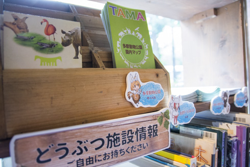 シャッツキステ×「けものフレンズ」コラボカフェ