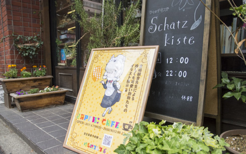 シャッツキステ×「けものフレンズ」コラボカフェ