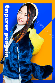 コウテイペンギン：根本流風