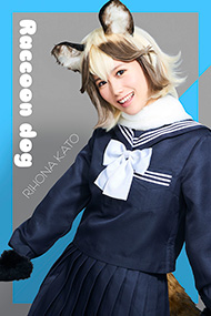 タヌキ：加藤里保菜