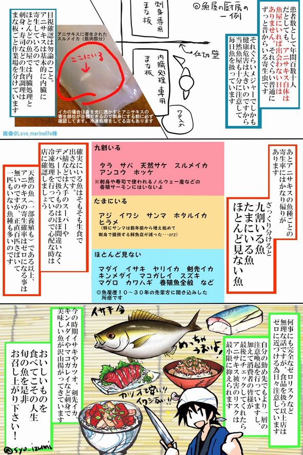 アニサキス　魚　寄生虫　安全　刺身