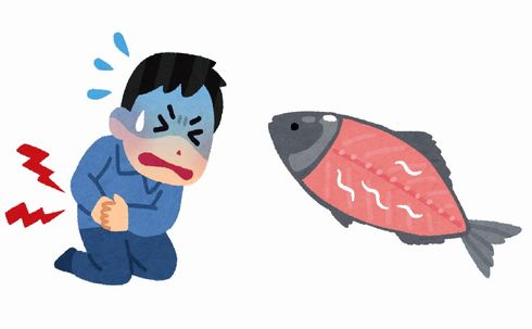 アニサキス　魚　寄生虫　安全　刺身
