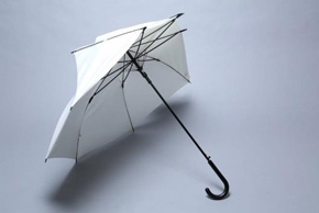 ポキッと折れるんです