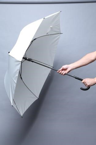 ポキッと折れるんです