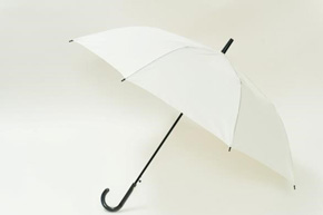 ポキッと折れるんです