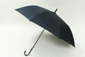 ポキッと折れるんです