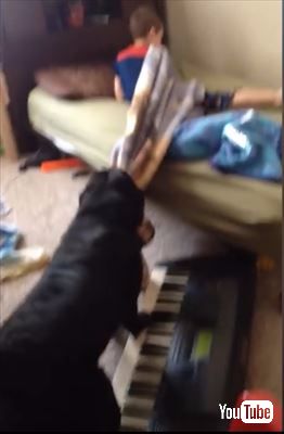 子どもを起こす犬