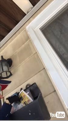 郵便屋さんと猫