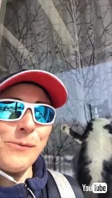 郵便屋さんと猫